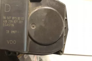 965078738002 Моновпрыск Citroen C5 1 Арт e11585514, вид 7