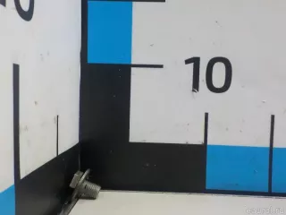 200826 Болт гидротрансформатора Citroen C5 1 Арт E52598628, вид 4