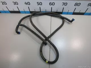 1J0955964F Трубка омывателя (шланг омывателя) Audi A6 C5 (S6,RS6) Арт E81100544, вид 1