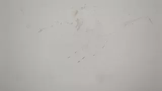 YQ00173880 Дверь передняя правая белая Citroen C3 Aircross  Арт 20494532, вид 4