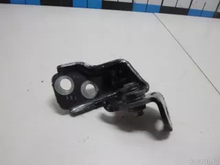 5189477 Петля двери Ford EcoSport Арт E5970078, вид 1