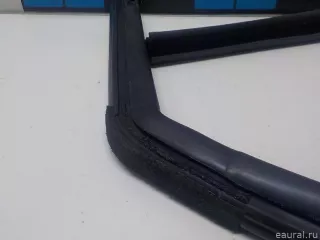 1829807 Уплотнитель стекла двери Ford EcoSport Арт E51519117, вид 7