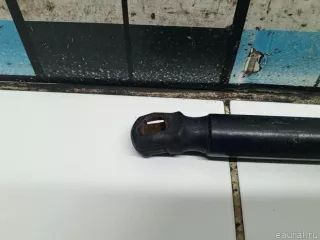 4F9827552D Амортизатор двери багажника Audi A6 C6 (S6,RS6) Арт E31680112, вид 2