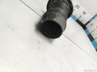 503198 Пыльник переднего амортизатора Citroen C1 1 Арт E90339637, вид 2