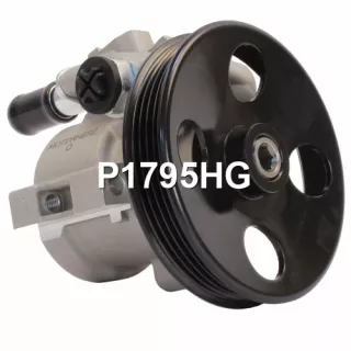 42800820,95075829,94538440,95075829,HPQ1795GQ,HPQ1795XQ,P1795,P1795HG,400N10189Z Насос гидроусилителя руля Ravon Nexia R3 Арт А2222674466-3, вид 1