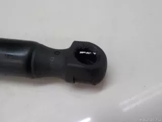  Амортизатор двери багажника Audi A6 C6 (S6,RS6) Арт E84201148, вид 4