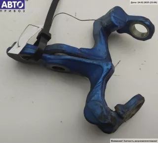 3M51R22810AE Петля двери передней правой Ford Focus 2 Арт 53212046, вид 2