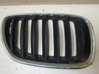 51137124816 Решетка радиатора BMW X5 E53 Арт BBBs91116020, вид 1