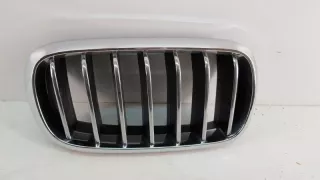 7316076 Решетка радиатора BMW X5 F15 Арт VZ55843, вид 1