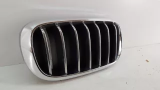 7316076 Решетка радиатора BMW X5 F15 Арт VZ55843, вид 3