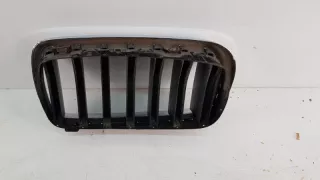 7316076 Решетка радиатора BMW X5 F15 Арт VZ55843, вид 4