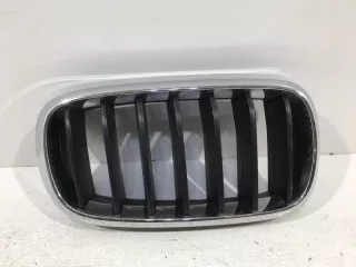 51712334710 Решетка радиатора BMW X5 F15 Арт VZ91640, вид 1