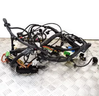 850789375806577811162 , art231593 Проводка двигателя BMW 1 F20/F21 Арт 231593, вид 1