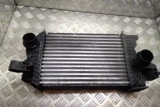 r3451004, 13283253 , art846656 Интеркулер Opel Meriva 2 Арт 846656, вид 1