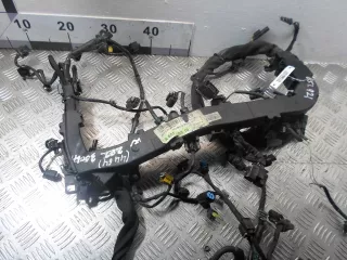 6511592725 Проводка двигателя Mercedes SK Арт 00142354, вид 1