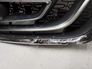 6013003700 Решётка радиатора Geely Atlas 1 Арт L099598, вид 2