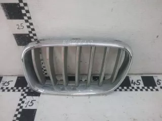 51117210725 Решетка радиатора BMW X3 F25 Арт K420002, вид 1