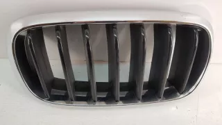 7316076 Решетка радиатора BMW X5 F15 Арт lz63208, вид 1