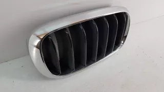 7316076 Решетка радиатора BMW X5 F15 Арт lz63208, вид 2