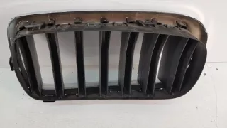 7316076 Решетка радиатора BMW X5 F15 Арт lz63208, вид 3