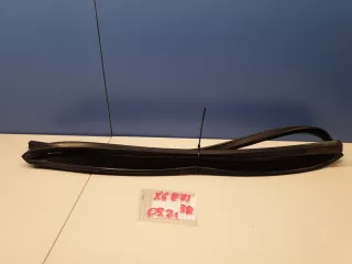 51357310318 Уплотнитель стекла двери задний правый BMW X6 E71/E72 Арт ZAP201580, вид 1