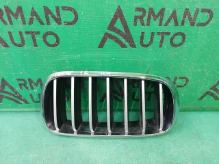51137316062, 7316054 решетка радиатора BMW X5 F15 Арт ARM187398, вид 1