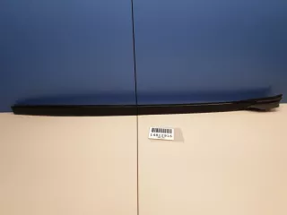 51317463528 Молдинг лобового стекла правый BMW X5 G05  Арт ZAP209707, вид 1
