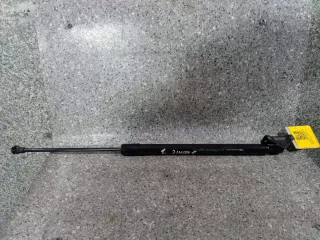 904500004R Амортизатор крышки багажника (3-5 двери) левый Renault Scenic 3 Арт 46023020979, вид 1