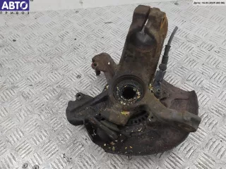 1J0407613G, кулак - 1J0407256N Ступица передняя правая Seat Leon 1 Арт 53858579, вид 1