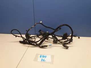 61129274392 Жгут проводов задней левой двери BMW 3 F30/F31/GT F34 Арт ZAP232962, вид 1
