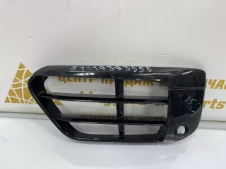 51117383355 Решетка бампера BMW 1 F20/F21 Арт TP971, вид 1