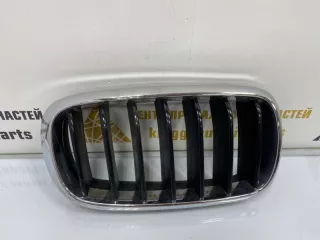 7316076 Решетка радиатора BMW X5 F15 Арт TP1184, вид 1