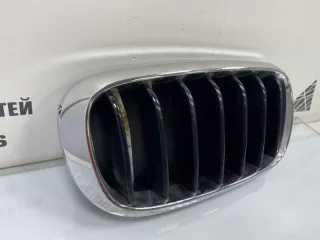 7316076 Решетка радиатора BMW X5 F15 Арт TP1184, вид 2