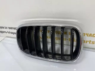 7316076 Решетка радиатора BMW X5 F15 Арт TP1184, вид 3