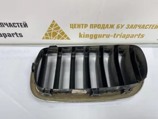 7316076 Решетка радиатора BMW X5 F15 Арт TP1184, вид 4