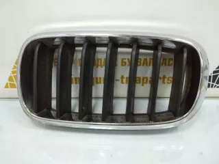 7316075 Решетка радиатора BMW X5 F15 Арт TP8495, вид 1