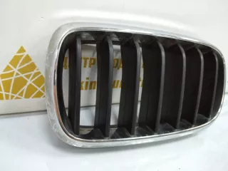 7316075 Решетка радиатора BMW X5 F15 Арт TP8495, вид 2