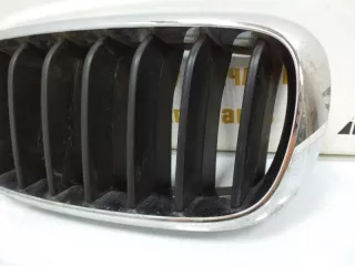 7316075 Решетка радиатора BMW X5 F15 Арт TP8495, вид 3