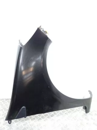  Крыло переднее правое Renault Clio 3 Арт 46023029116, вид 1