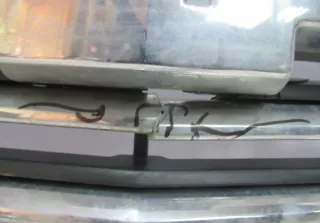 23440914 Решетка радиатора Chevrolet Tahoe 4 Арт 395863509TP, вид 4