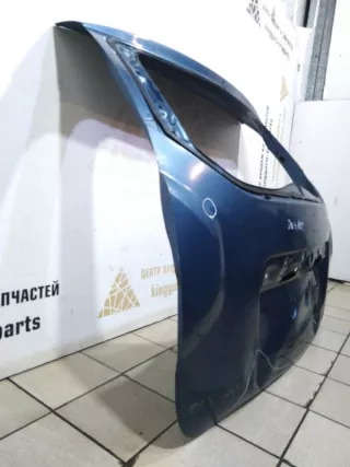 901005043R Крышка багажника Renault Duster 1 Арт TP10232, вид 6
