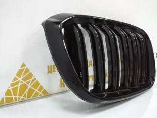 7316076 Решетка радиатора BMW X3 G01 Арт TP14658, вид 2