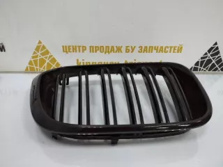 7316076 Решетка радиатора BMW X3 G01 Арт TP14658, вид 4