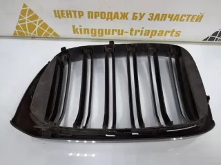7316076 Решетка радиатора BMW X3 G01 Арт TP14658, вид 6