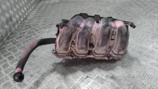 752817280 Коллектор впускной Peugeot 207 Арт 66068.13, вид 1