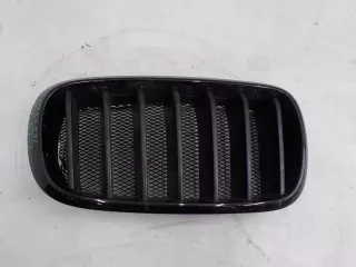 7316076 Решетка радиатора BMW X5 F15 Арт BIT393196, вид 1
