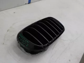 7316076 Решетка радиатора BMW X5 F15 Арт BIT393196, вид 2