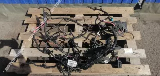  Проводка двигателя Renault Megane 3 Арт 00057415