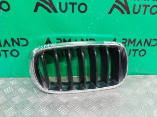 51137294486, 7316076 решетка радиатора BMW X5 F15 Арт ARM240353, вид 1