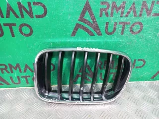 51117210725, 7210725 решетка радиатора BMW X3 F25 Арт ARM242920, вид 1